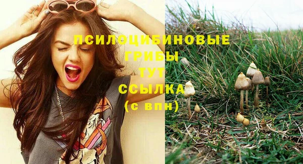 а пвп мука Арсеньев