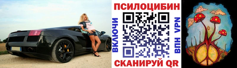 Галлюциногенные грибы Cubensis  Мензелинск 